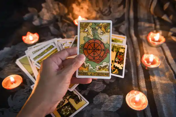 tarot cards Coral Hills